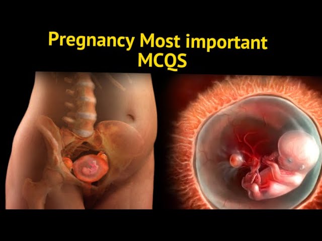 pregnancy most important mcqs / pregnancy mcqs #pregnancy