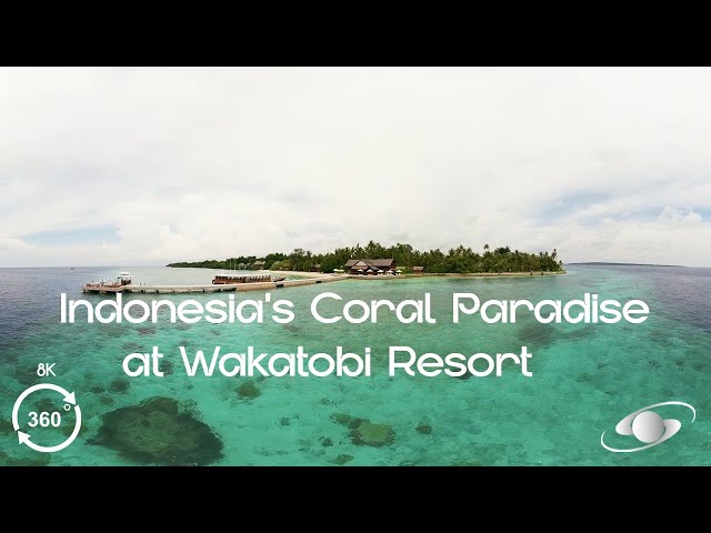 Dive Into Indonesia’s Coral Paradise at Wakatobi Resort in 360° 8K VR 🌊