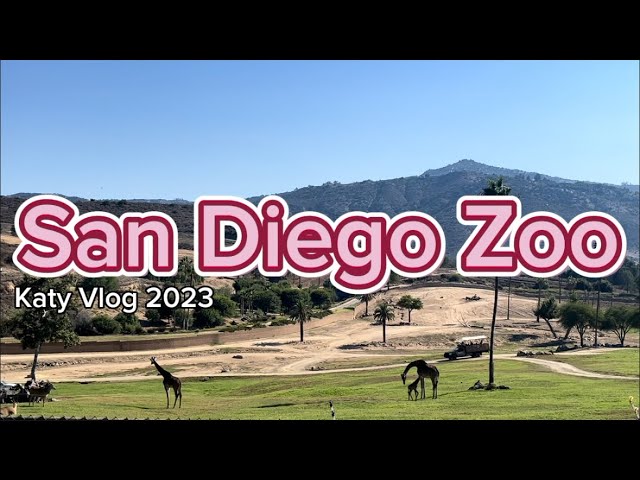 🦒🌿Exploring San Diego Safari Zoo With Katy | Family Travel 2023 | Love The Giraffe