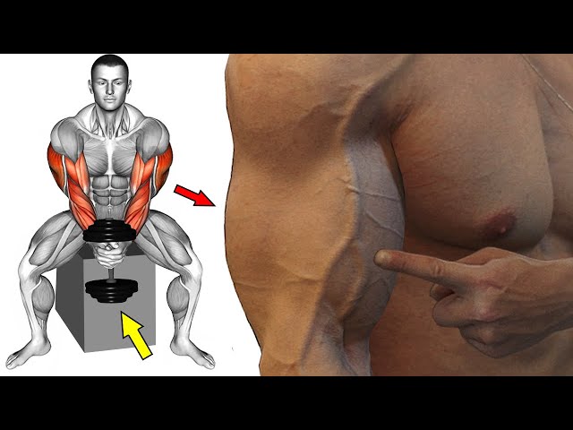 How to build Arm Fast 💪 7 Best exercises arms 💪