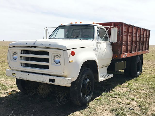 DODGE D600 (1974)  10X AUCTION  (AuctionTime/TruckPaper)