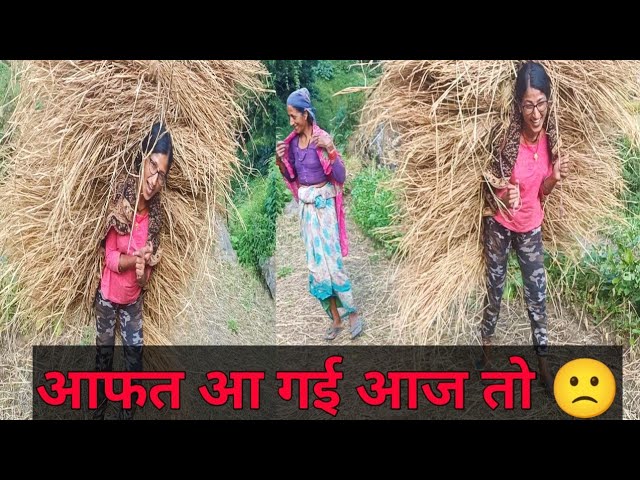 कटाई मंडाई हुई खत्म अब सबसे dificult काम हुआ शुरू 🙄।। pahadi lifestyle vlog।। kajal bhatt gairola।।