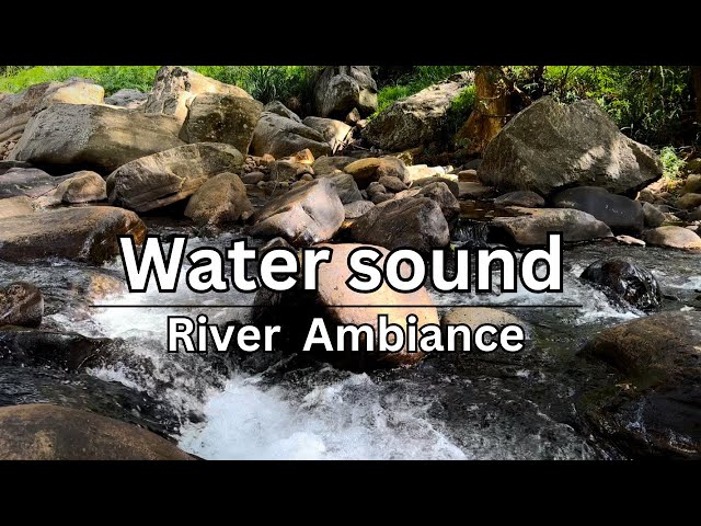 Relaxing River Sound Forest Stream Flowing Water Calm River #relaxing #river