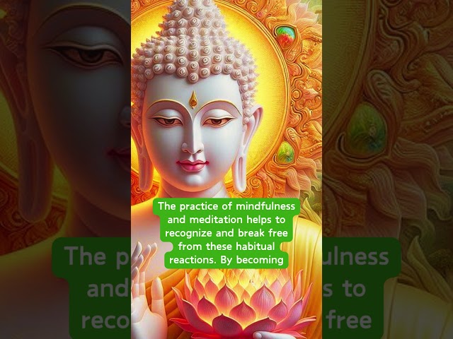 Habitual reactions in Buddhism