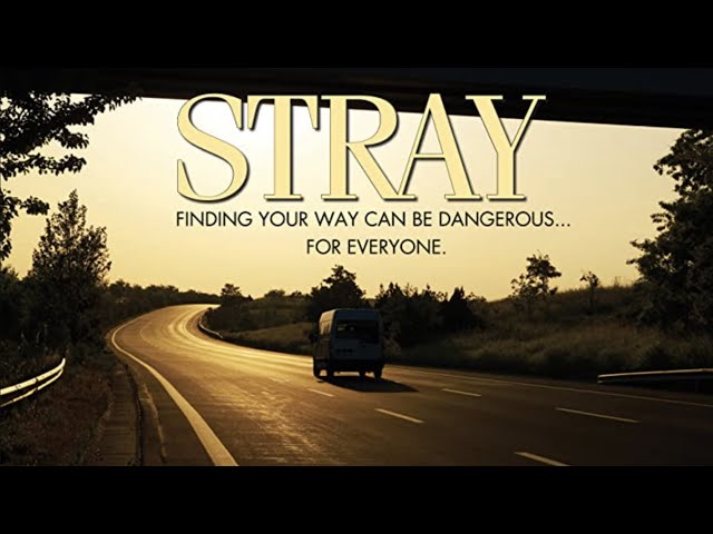 Stray (2016) | Thriller Movie | Serial Killer Movie | Full Movie