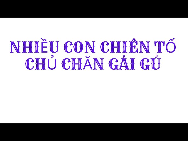 NHIỀU CON CHIÊN TỐ CHỦ CHĂN GÁI GÚ