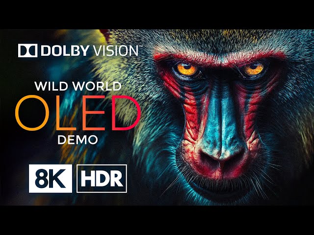 OLED 8K HDR 60fps with Dolby Vision – Experience The Ultimate Visuals