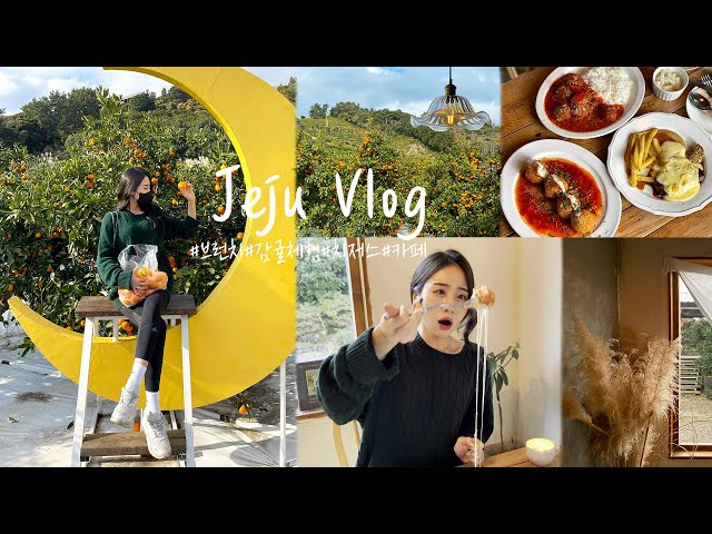 A DAY IN MY LIFE IN KOREA 🍊 JEJU ISLAND TRIP VLOGㅣPICKING TANGERINE FARM RESTAURANT CAFE