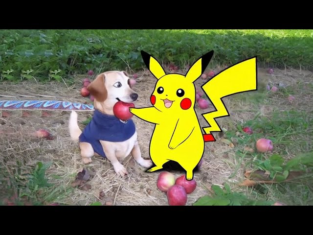 Dog with Apple in Mouth | Apple Dog AI Memes Compilation 3 / Dog With Apple | Apple Dog Core