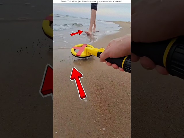 Do not walk barefoot in the sea🧐😱 #shortvideo #amazingfacts