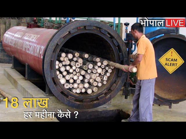 18 लाख प्रति माह बांस की छोटी सी फैक्ट्री से आप कैसे कमा सकते हैं ? Bamboo farming India बांस खेती