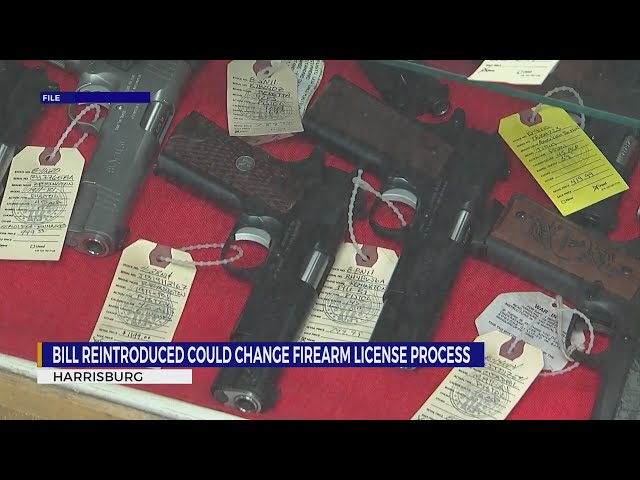 ‘Common-sense solution’ Pennsylvania bill could change firearm license process