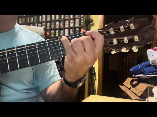 COVER GUITARRA MECANO "NATURALEZA MUERTA"