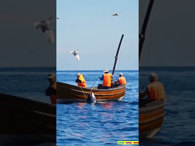 Witness the Moment This Massive Tuna is Reeled In