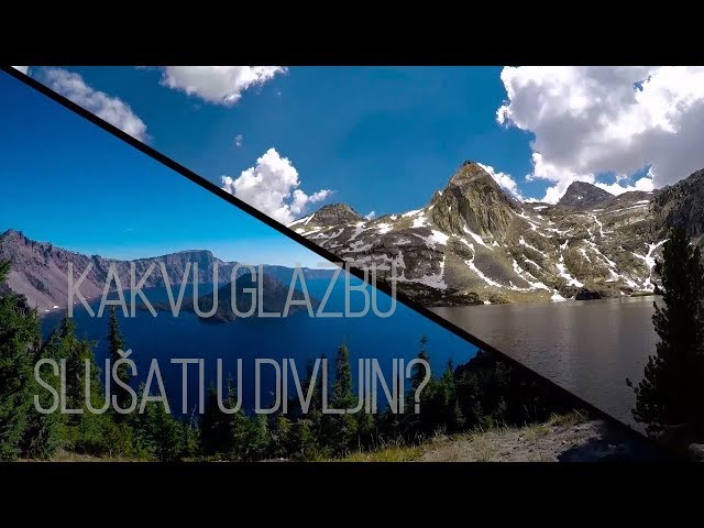 TLNOS - Kakvu glazbu slušati u divljini?