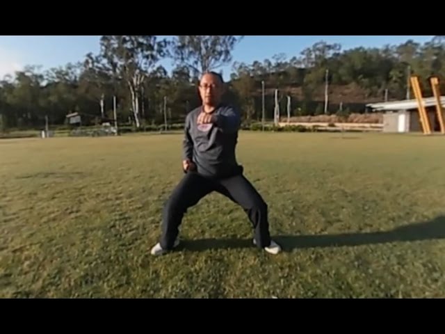 Kung Fu Bootcamp level 1.2 - Punching in horse stance (Samsung Gear 360)