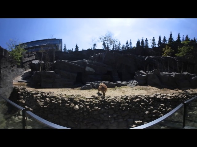 360° rotsverblijf - Zoo van Antwerpen