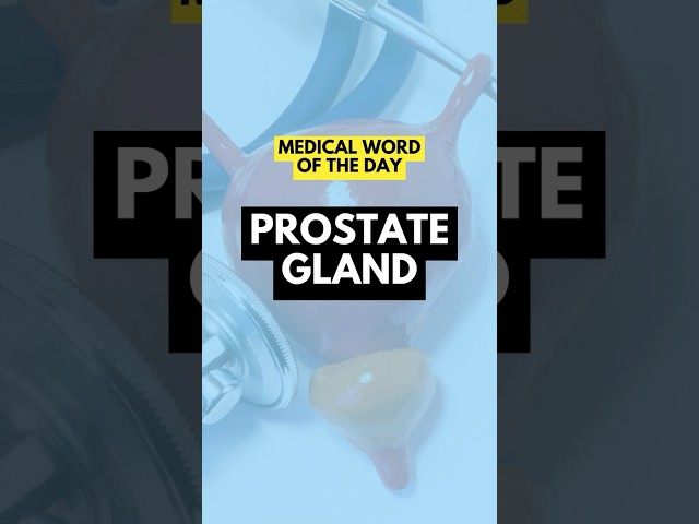 Ano ang Prostate? #healthy #prostatehealth