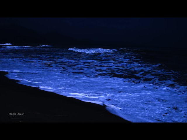 Beautiful Ocean Wave Sounds at Night - Stop Overthinking, Release Stress, Anxiety