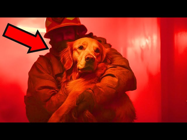 I Was Trapped in a Burning House… BUT A FIREFIGHTER BROKE THE WINDOW TO SAVE ME!