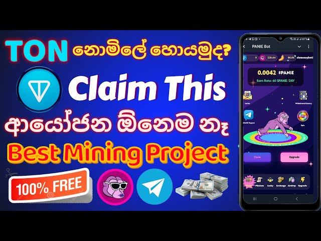 PANIE Airdrop Claim | Telegram Free Crypto Airdrop | Make $1000 From This Easily | Online jobs 2024