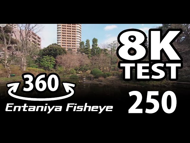 Entaniya Fisheye 250 + Panasonic GH5 4K to 8K TEST