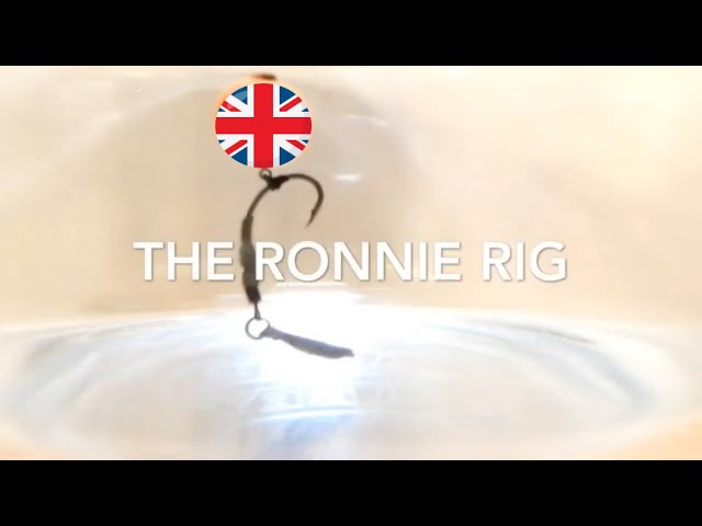 CARP FISHING -  SPINNER RIG