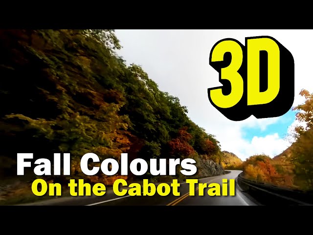 VR 180 Video Fall Colours on the Cabot Trail, Cape Breton.