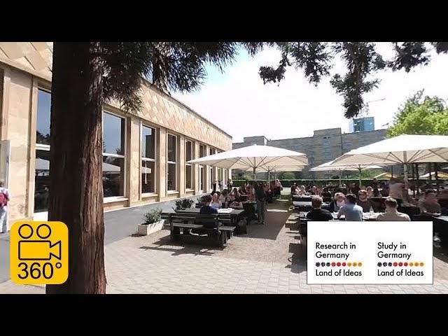 In 360°: University dining hall