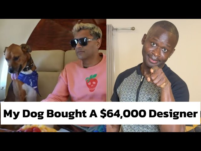 My Dog Bought A $64,000 Designer