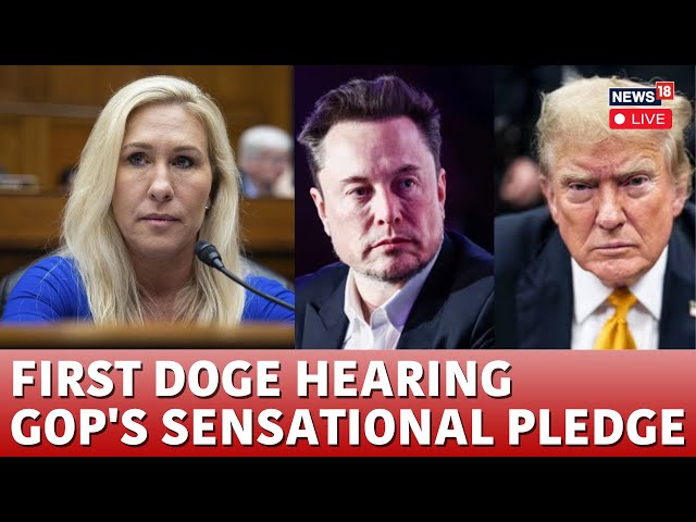 LIVE: DOGE Senate Hearing | Elon Musk LIVE | Heated Argument At DOGE Hearing | Trump LIVE | N18G