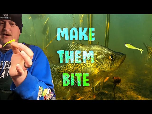 Catch 10x More LIMITS After Watching This | Muddy Water Crappie Fishing 2024