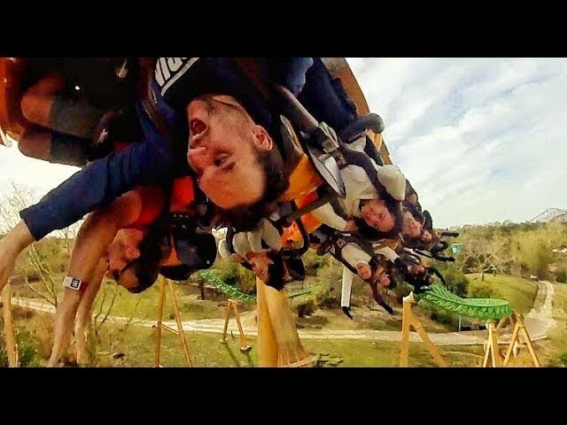 [360 on-ride] Cheetah Hunt at Busch Gardens, Tampa Bay FL