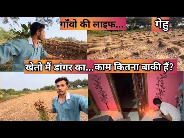 गेहू का काम कितना बाकी खेतो मैं #rahulgamitvlogs#kumkuva#songadh#vyara#tapi#ukai#villagelife#vlog