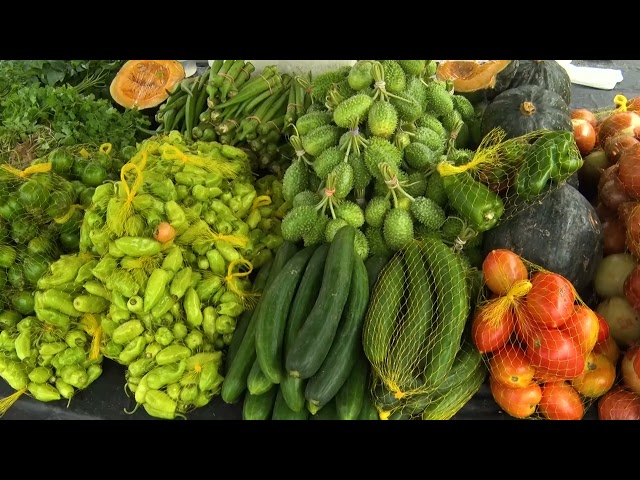 AGRICULTURA FAMILIAR EM RONDÔNIA: DESAFIOS DO ÊXODO RURAL E A FALTA DE MÃO DE OBRA NO CAMPO