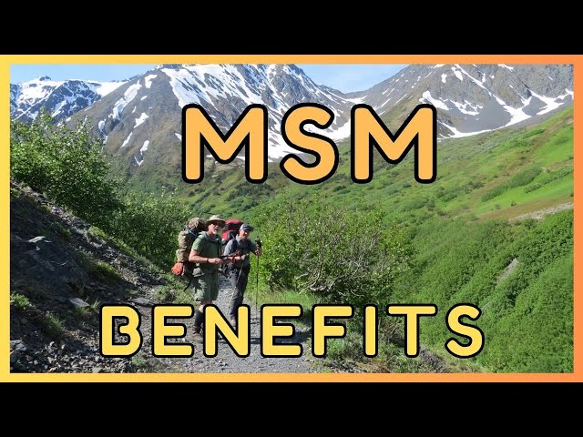 What are the benefits of MSM supplements?