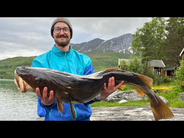 Menkiu zvejyba norvegijoje.    Cod Fishing in norway