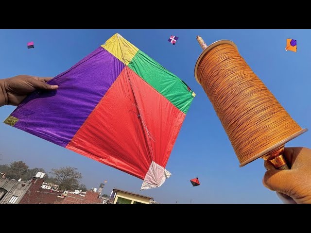 Flying Big Kites On Basant | Kite Cutting On Basant | Kite Fighting