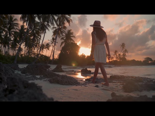 Lonely Girl Walking on Beach at Sunset | Free Stock Video Footage No Copyright