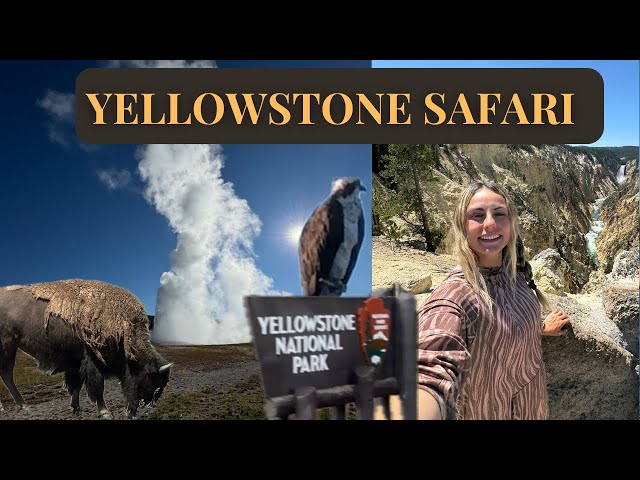 The ultimate Yellowstone adventure