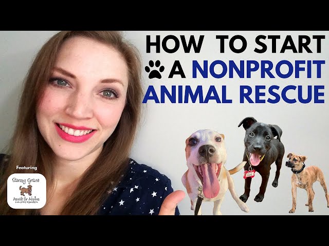 How to Start An Animal Rescue Nonprofit (featuring @SavingGraceNC!)