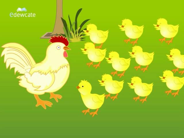 Telugu Cartoon Story | Bangaru Kodi Pilla | A Wise Little Hen