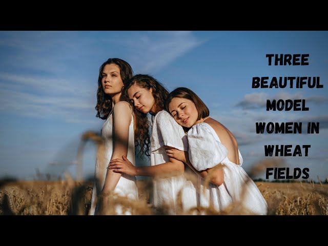 Three Beautiful Model Women In Wheat Fields | Beautiful Model Girl HD Stock Video | Romance Post BD