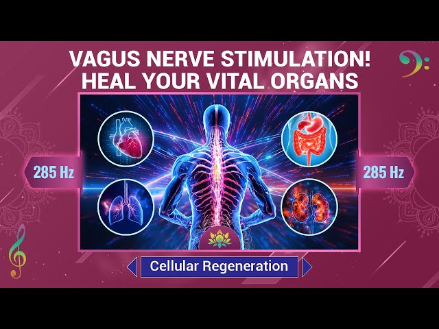 Vagus Nerve Stimulation, Heal Your Vital Organs - Cellular Regeneration & Full-Body Healing - 285 Hz