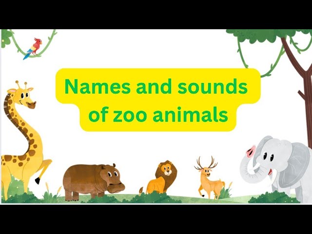 Zoo Animals Names And Sounds for kids Learning/ Animals Vocabulary/Learn Animals name in English