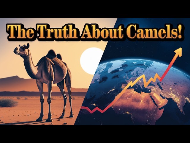 North America’s Gift to the World: The Fascinating Story of Camels