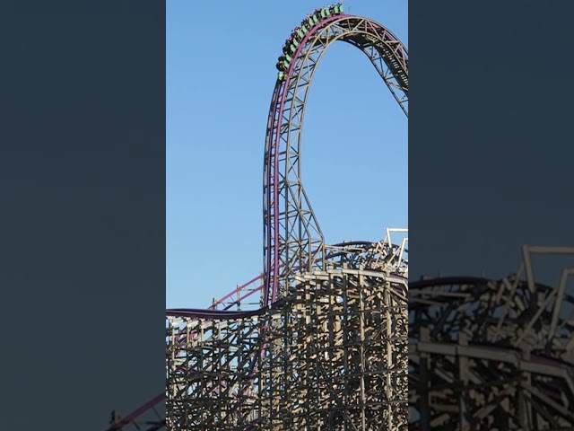 Steepest Hybrid Coaster | Iron Gwazi at Busch Gardens Tampa