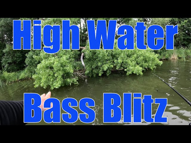 Heavy Rain and Runoff Makes Largemouth Bass Bite!