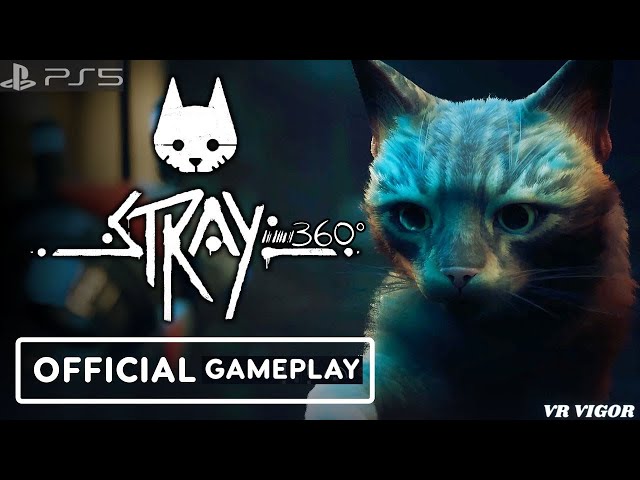 Stray Ps5 #strayps5gameplay #360video