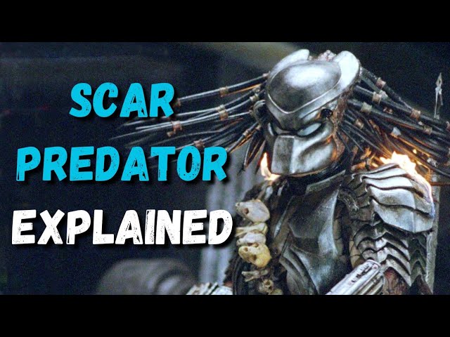 Scar Predator - Yautja Explained (AVP Lore)